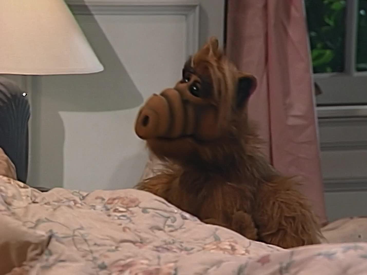 A still from Some Enchanted Evening