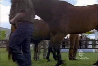 A still from Turnaround is Fair Play