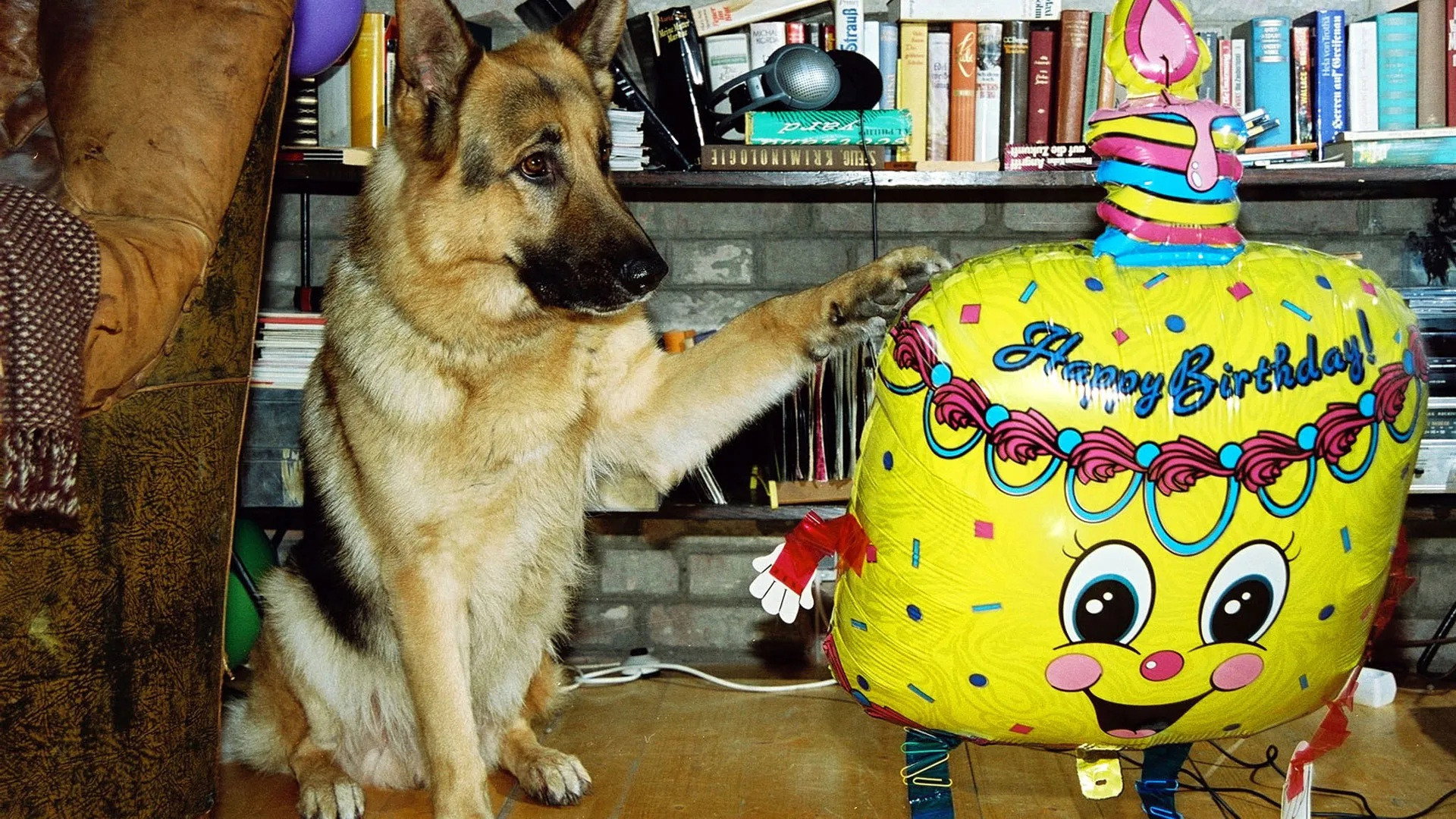 A still from Happy Birthday