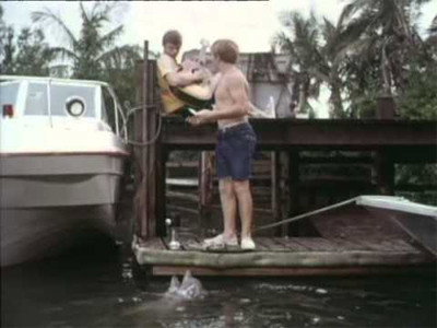 A still from Agent Bud