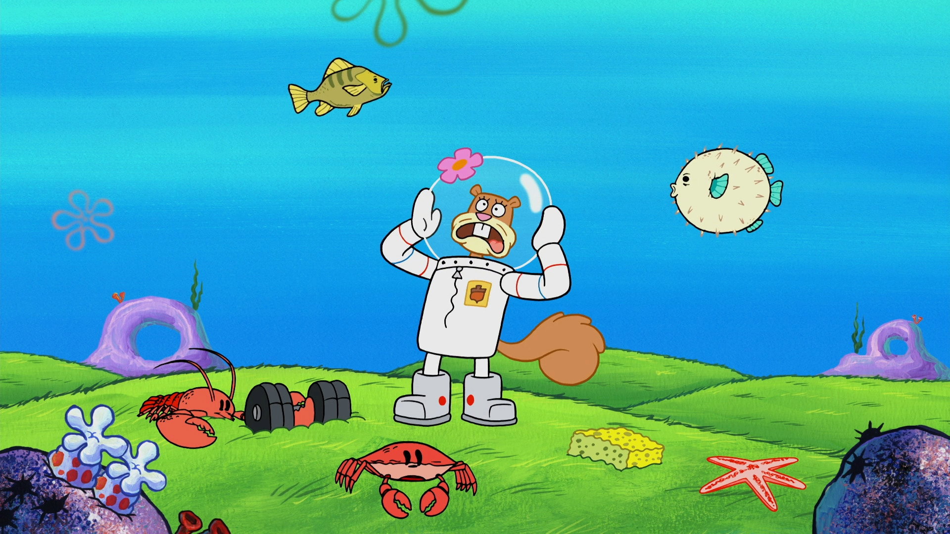 A still from Feral Friends