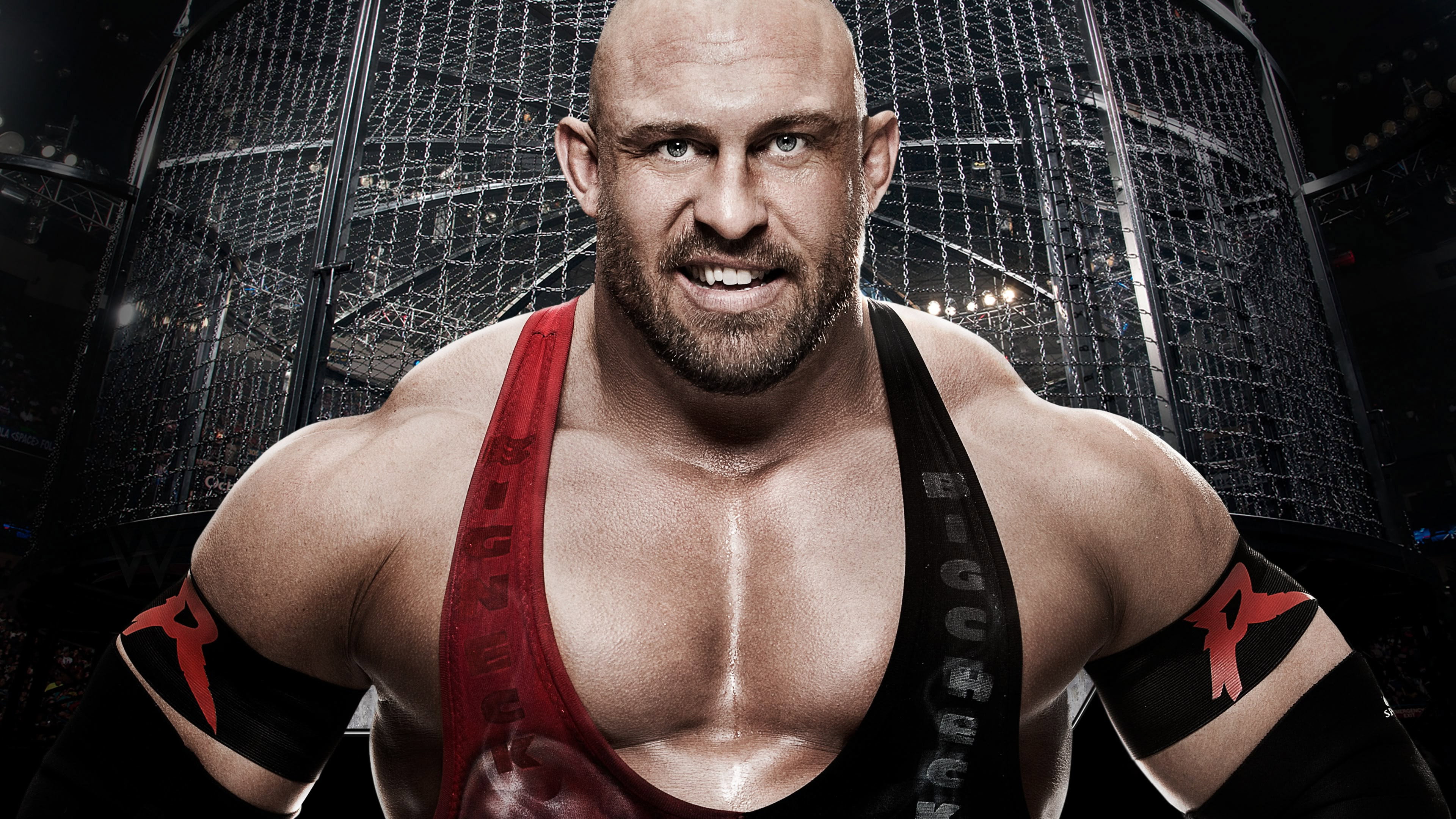 WWE Elimination Chamber 2015
