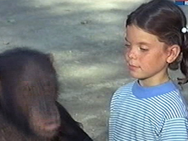 A still from A Man's Man