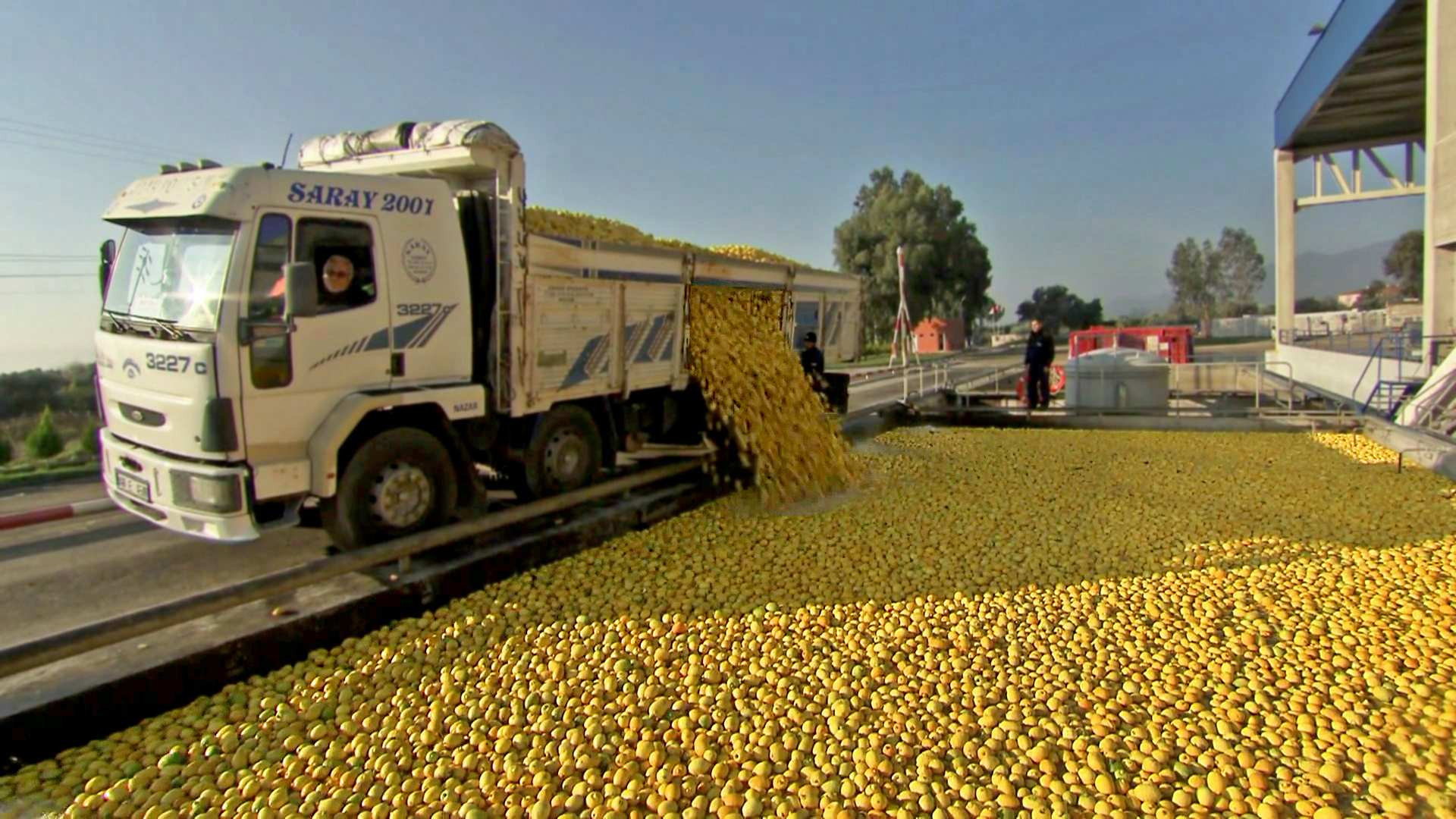 A still from Longboards, Lemonade, Forklifts
