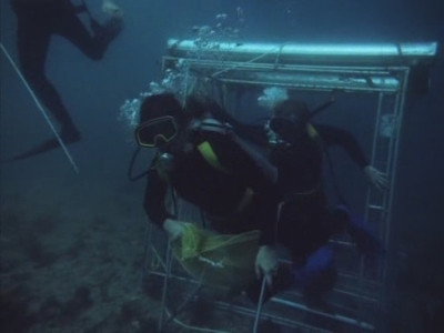 A still from Arrivederci, Baby