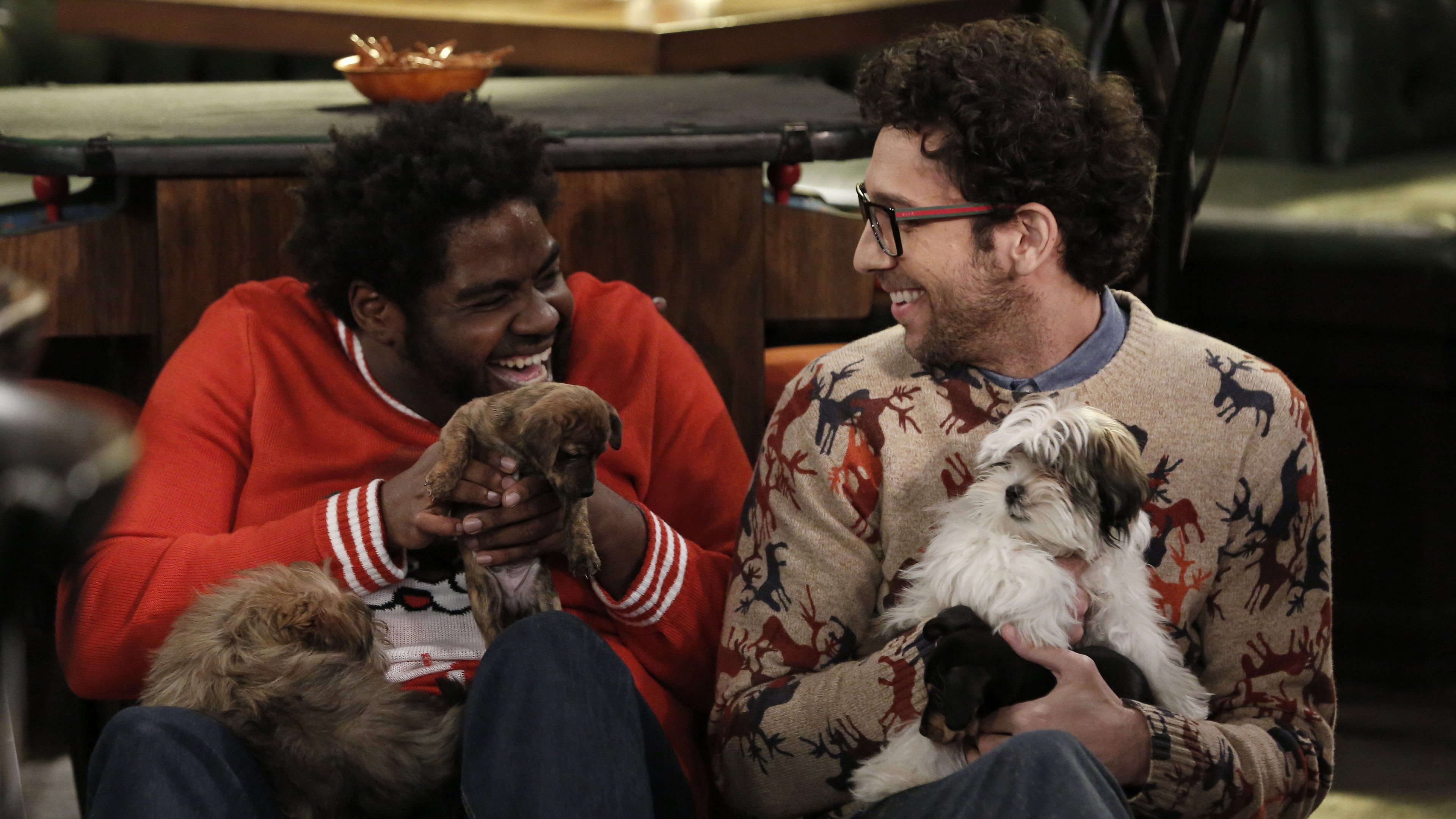 A still from A Box of Puppies Walks Into a Bar
