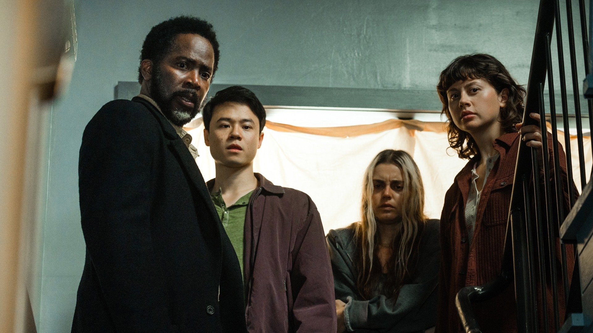A still from Forest for the Trees