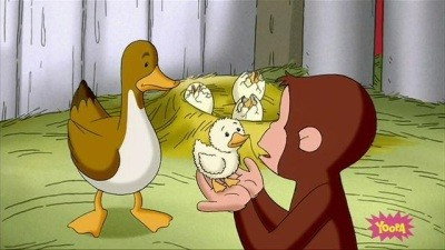 A still from A Monkey's Duckling