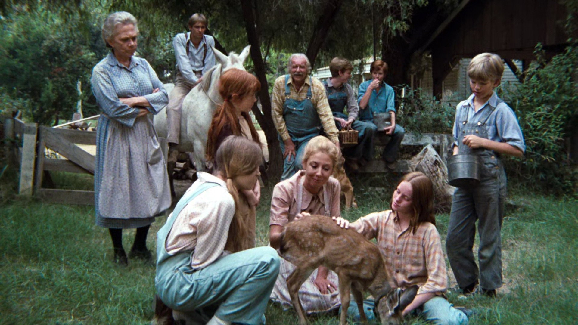 A still from The Fawn