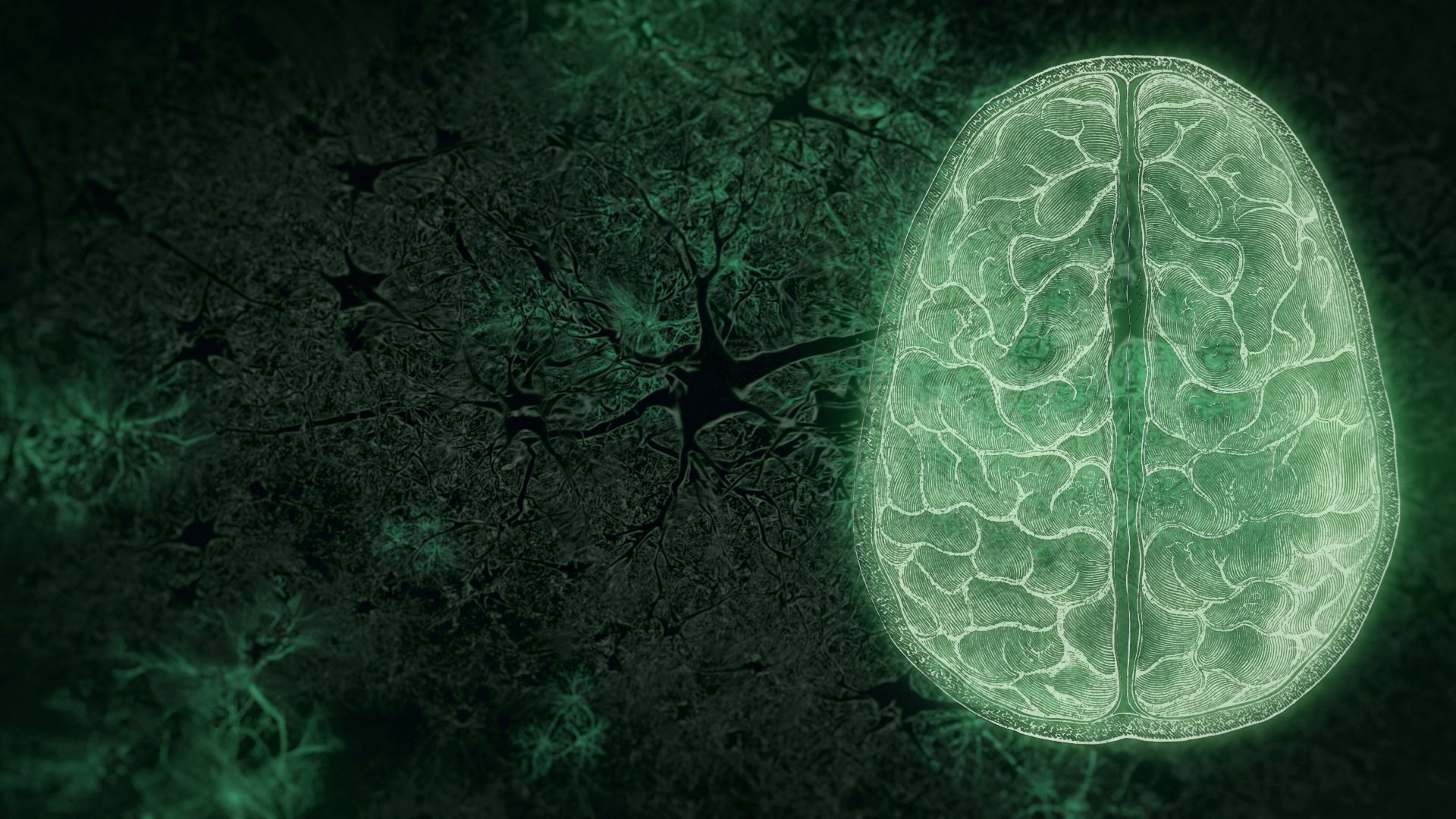 A still from Your Brain: Who's in Control? (2)