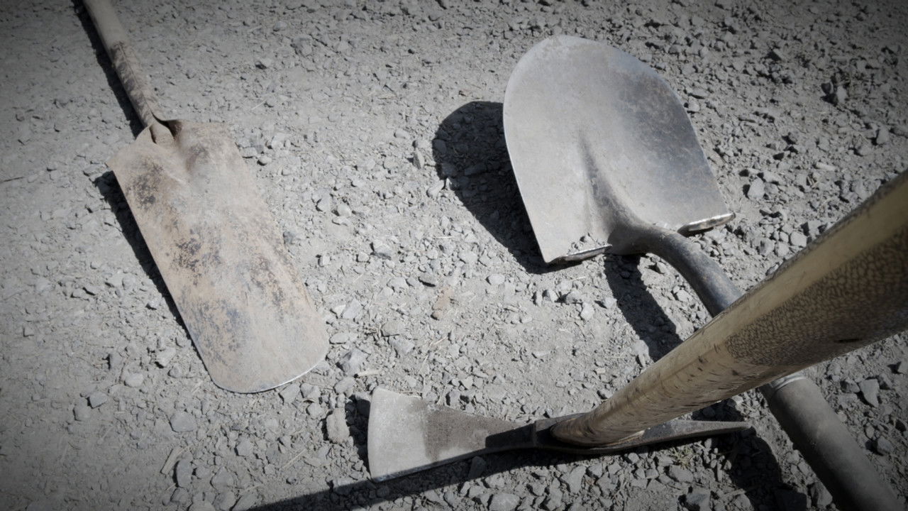 Backdrop image for movie SOIL!