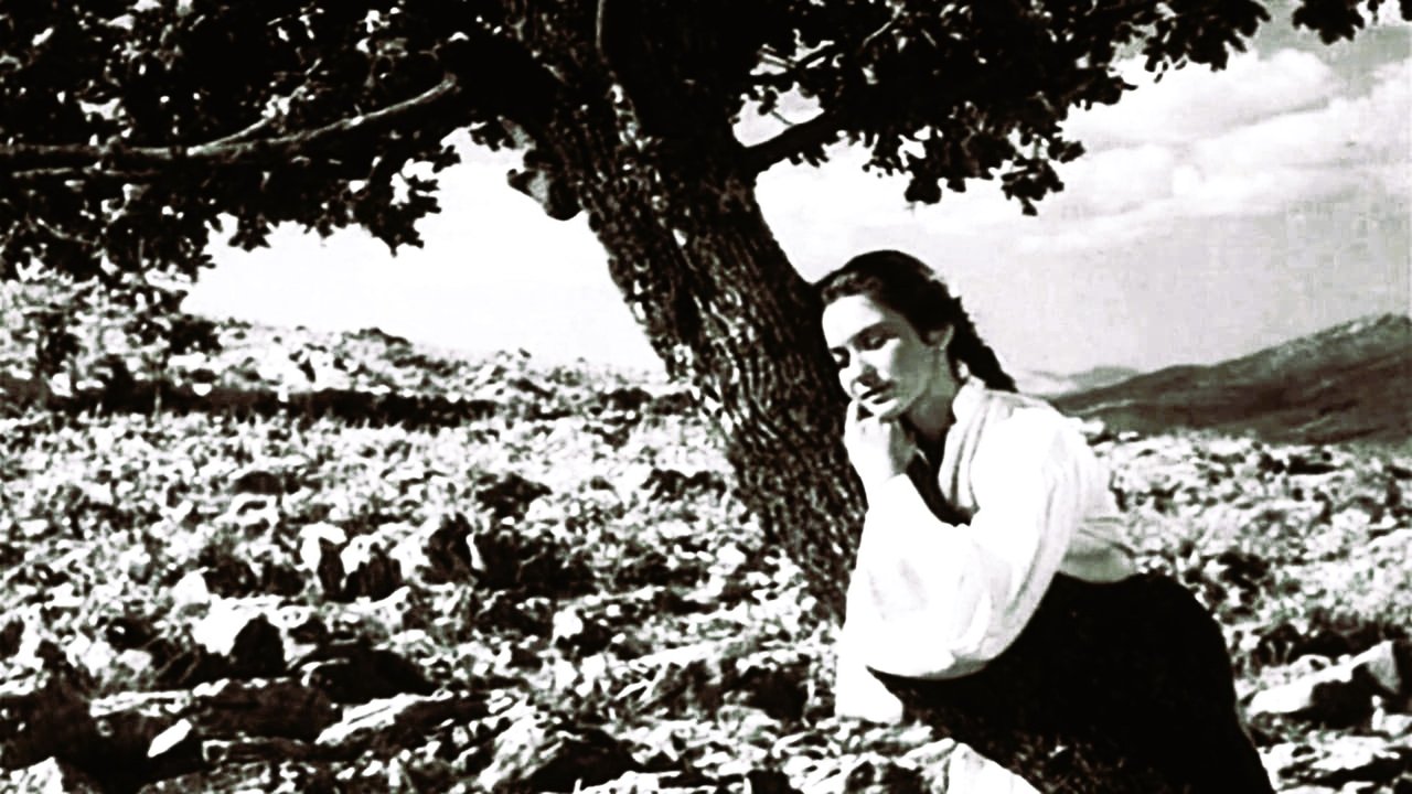 Backdrop image for movie The Girl and the Oak