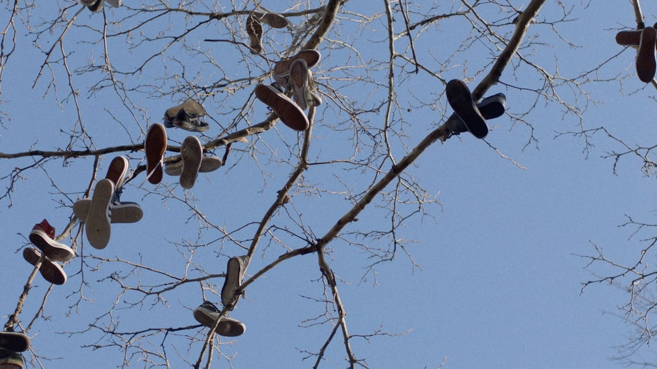 Backdrop image for movie Promise