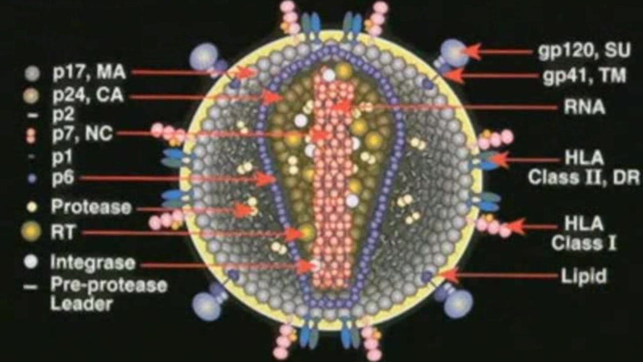 Backdrop image for movie Deconstructing the Myth of Aids