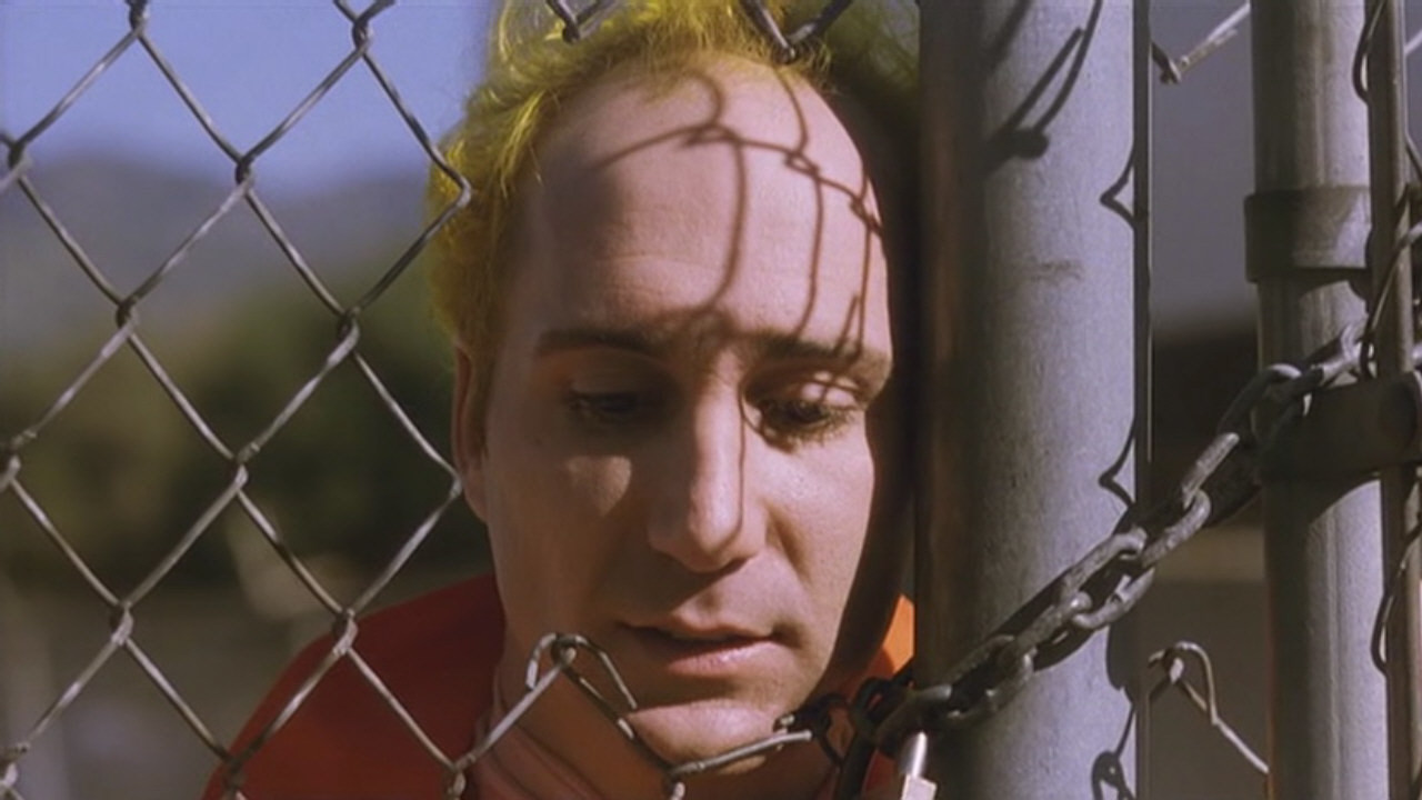 Backdrop image for movie The Thin Pink Line