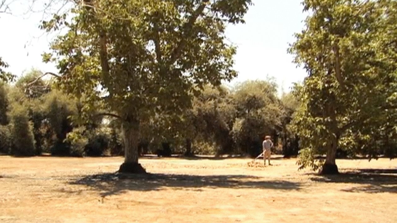 Backdrop image for movie The Fourth
