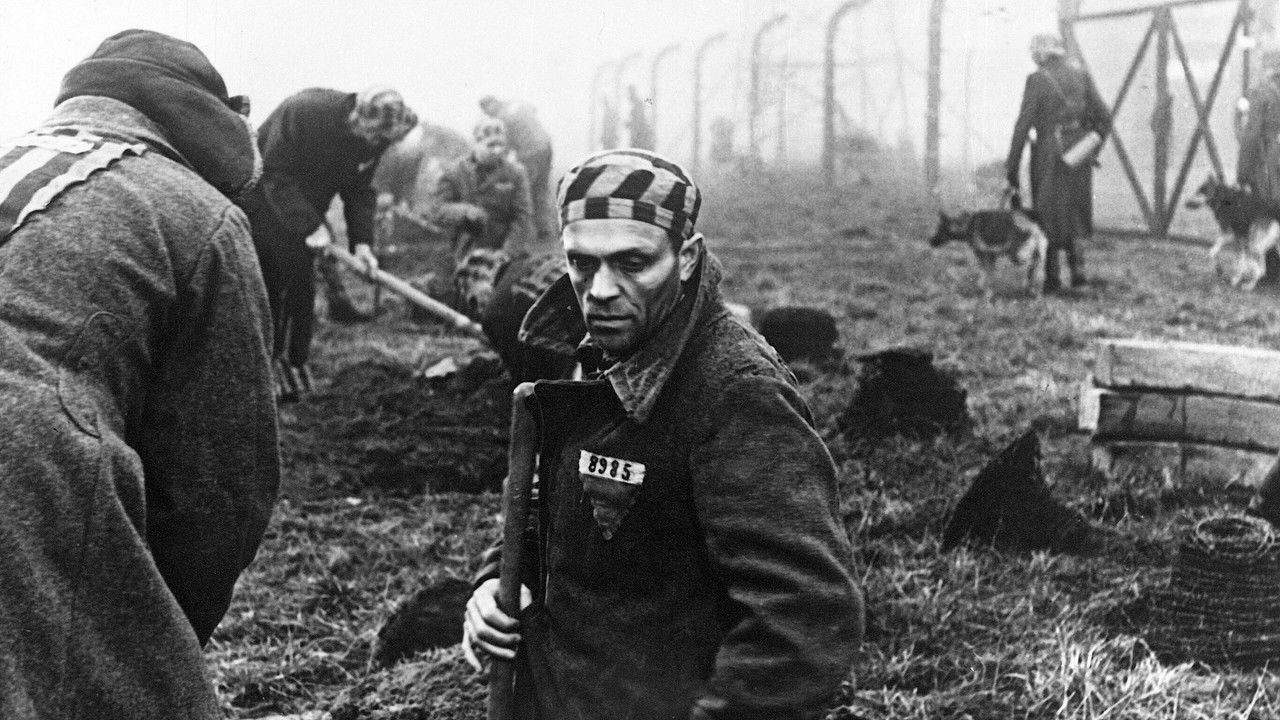 Backdrop image for movie Men and Beasts