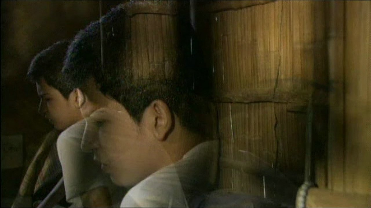 Backdrop image for movie Dampi