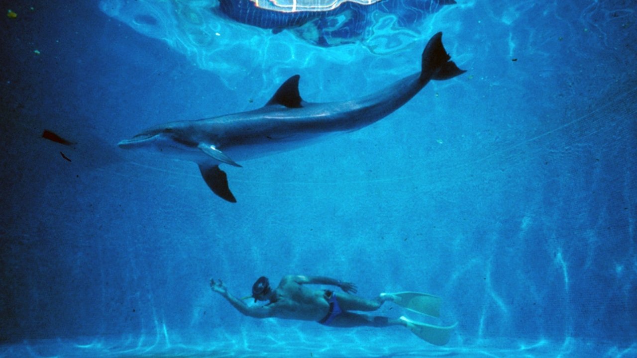 Backdrop image for movie The Big Blue