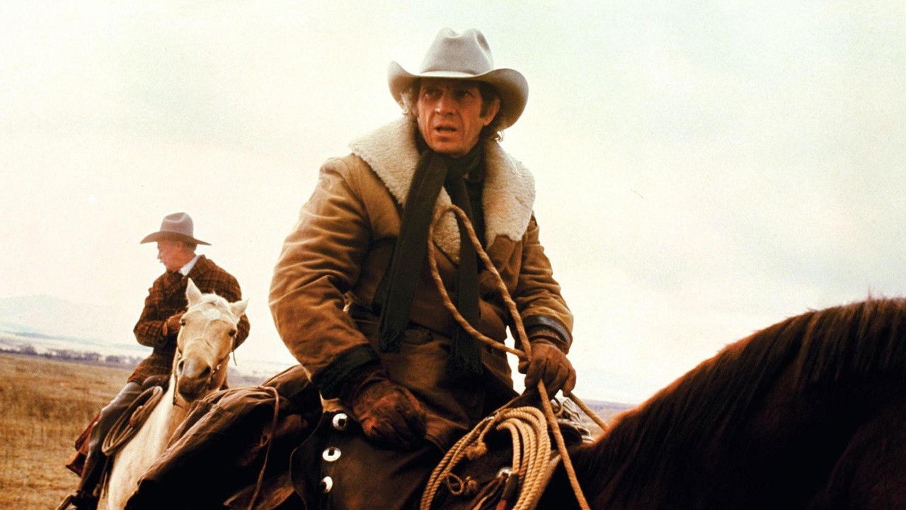 Backdrop image for movie Tom Horn