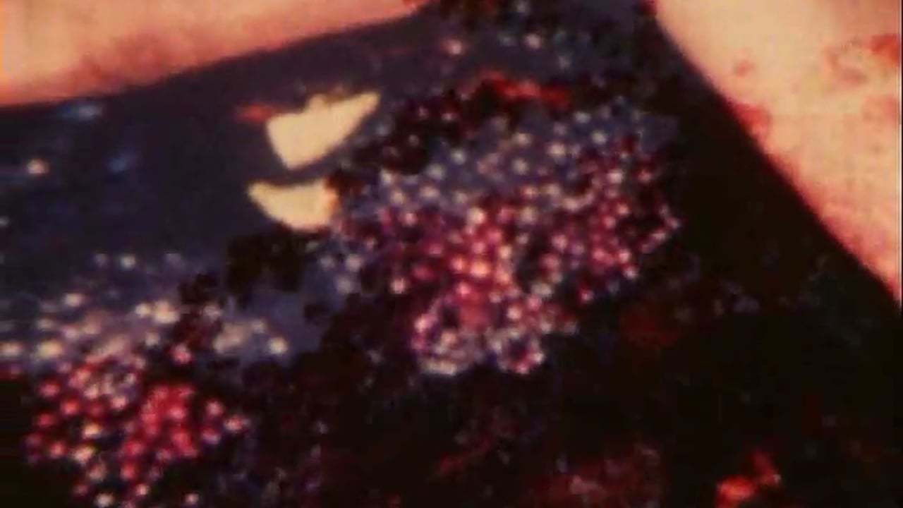 Backdrop image for movie Garden of Luxor