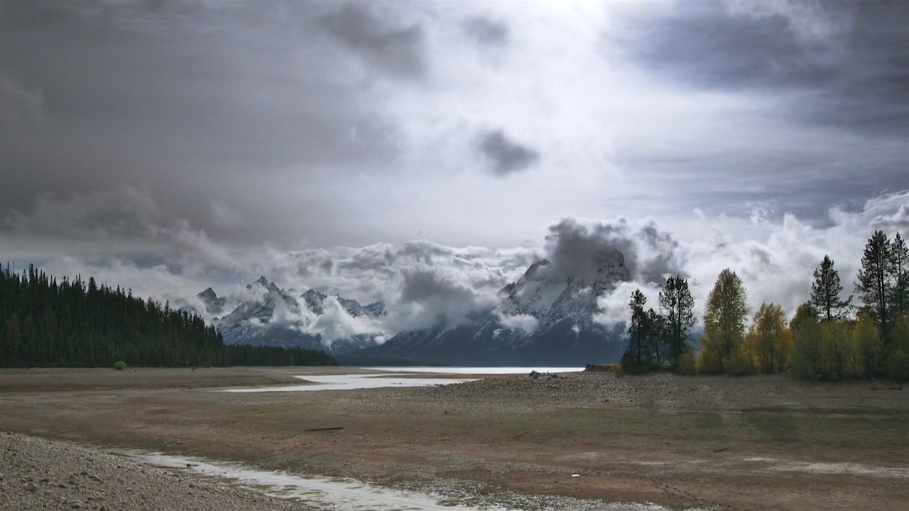 Backdrop image for movie Population Zero