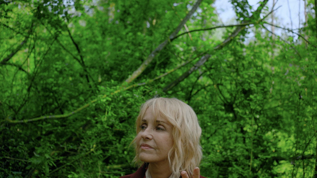 Backdrop image for movie Le Liechi