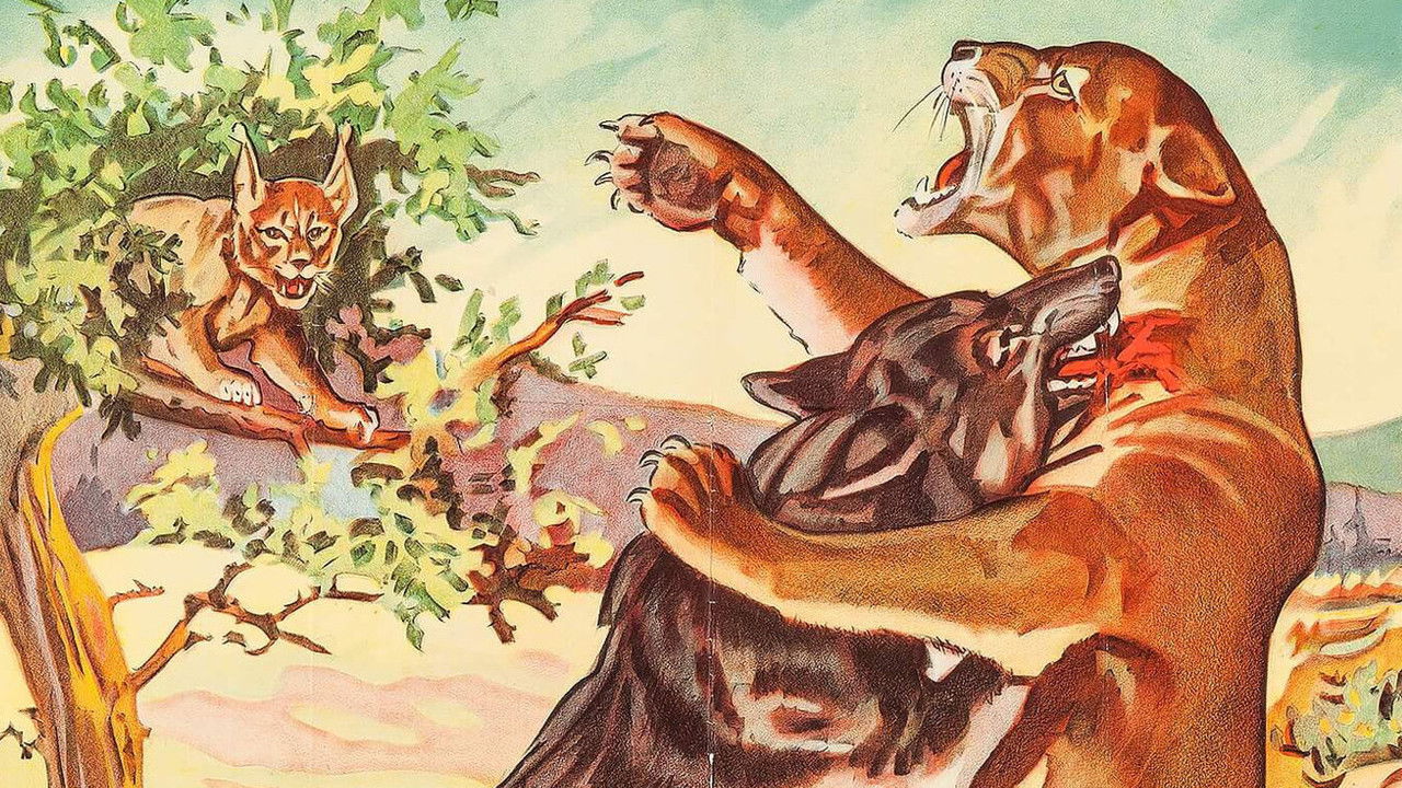 Backdrop image for movie Trailing the Killer