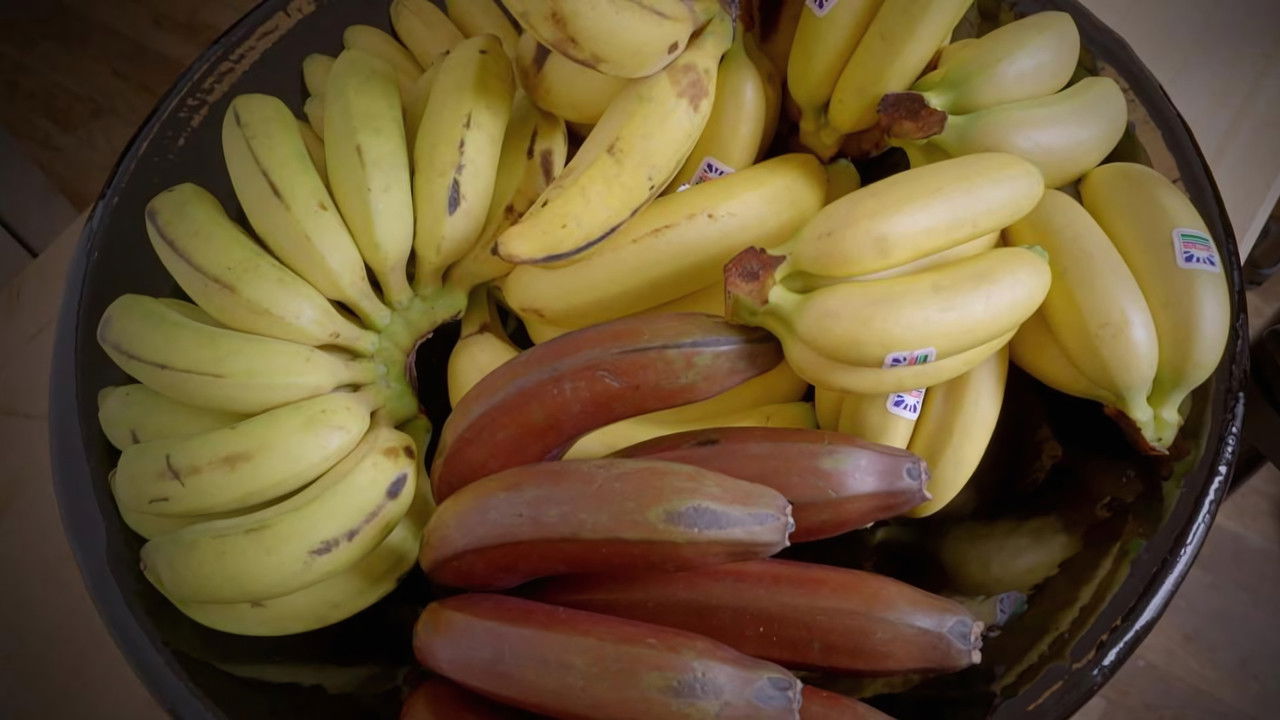 Backdrop image for movie Gardons la banane !