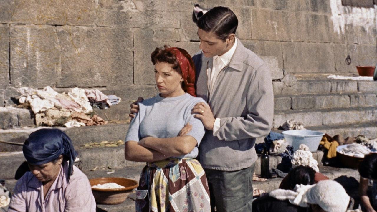 Backdrop image for movie The Little Bird of Ribeira