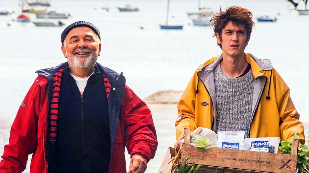 Backdrop image for movie Accidental Family