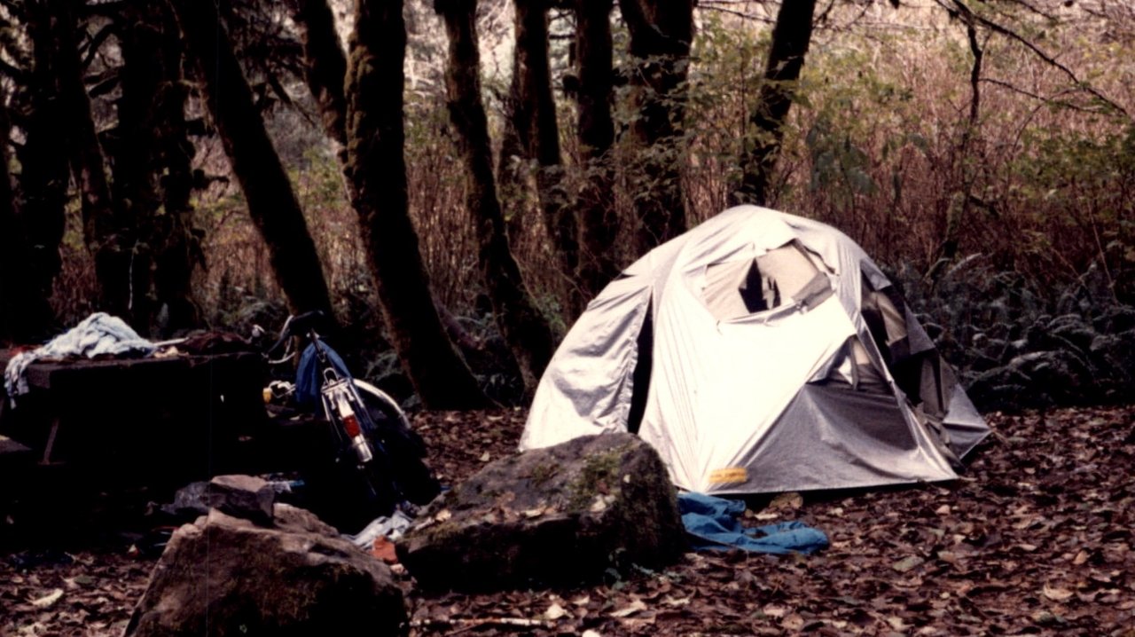 Backdrop image for movie Old Growth Murder