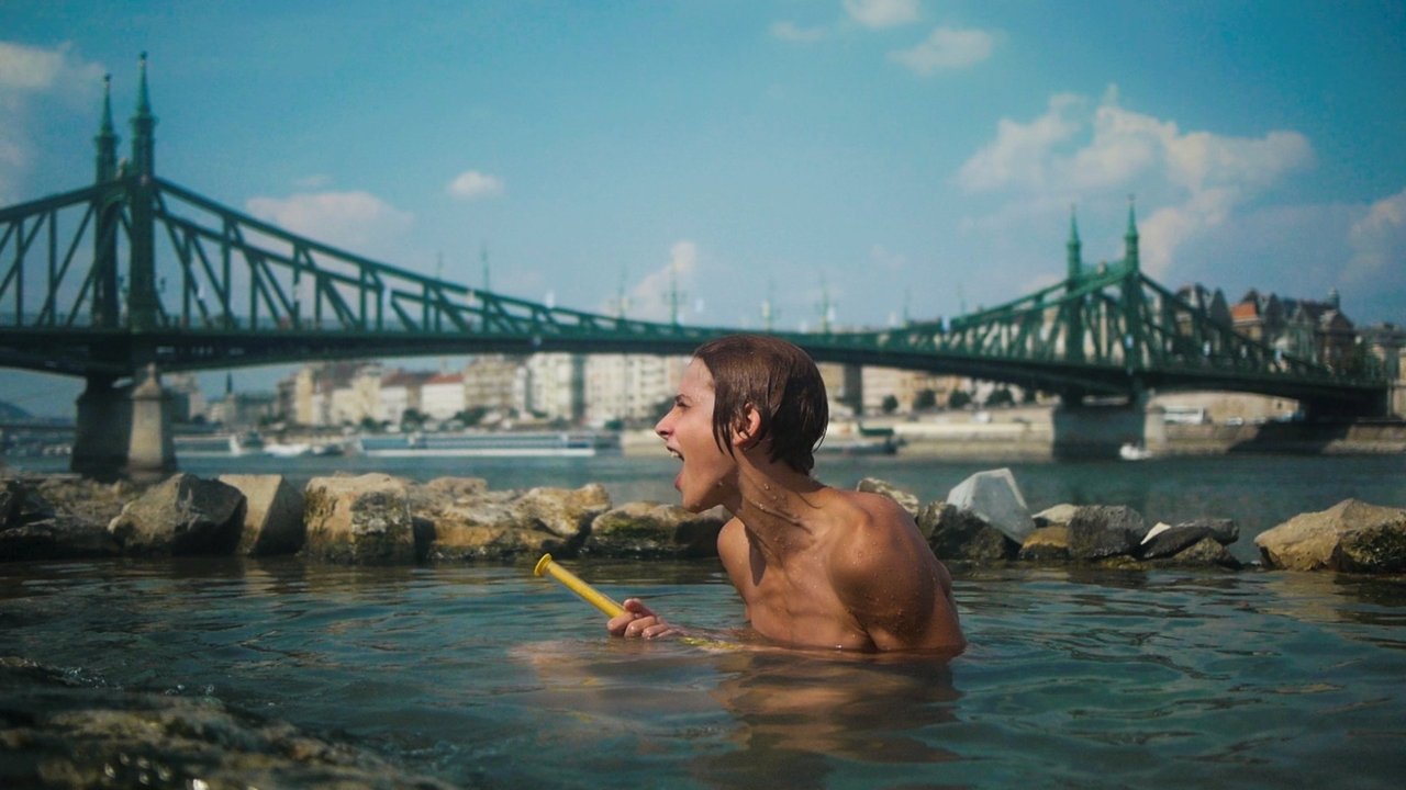 Backdrop image for movie KIX