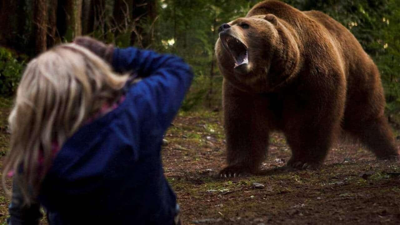 Backdrop image for movie Grizzly Rage