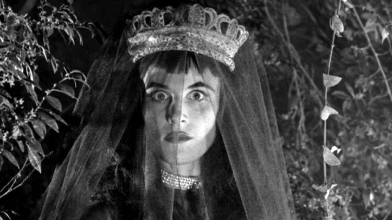 Backdrop image for movie Revenge of the Dead