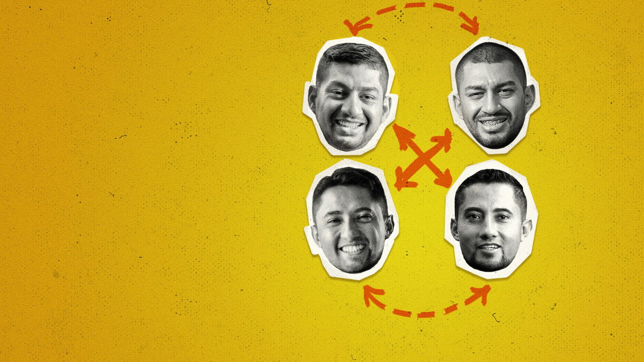 Backdrop image for movie The Accidental Twins