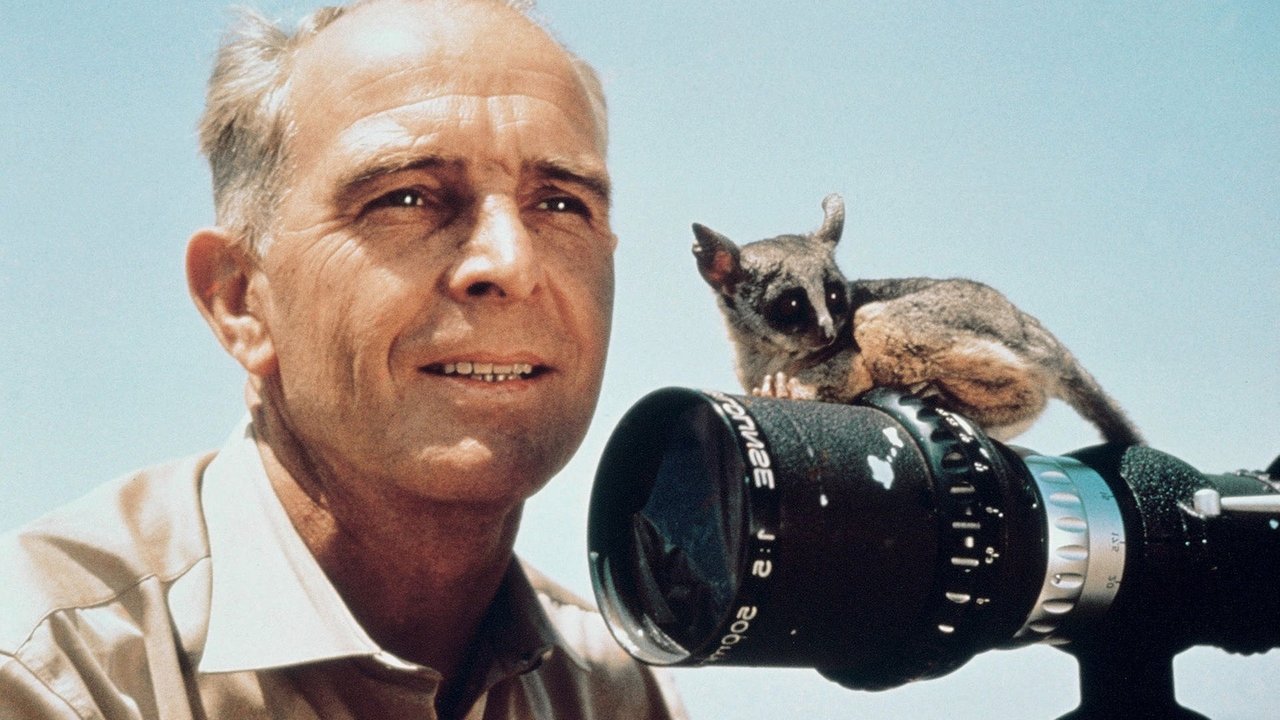 Backdrop image for movie Serengeti Shall Not Die