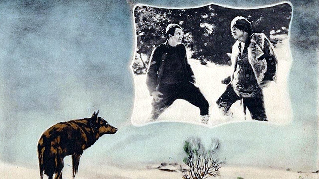 Backdrop image for movie The Man from Hell's River