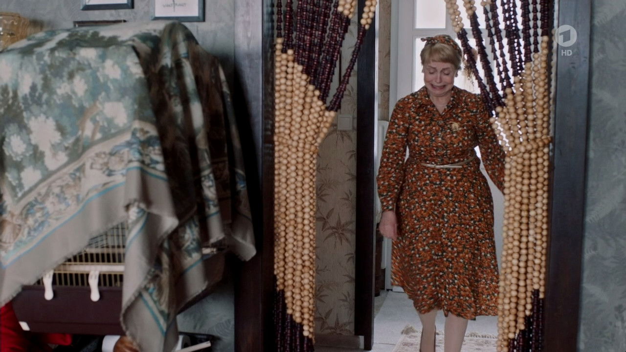 Backdrop image for movie Familie Lotzmann auf den Barrikaden