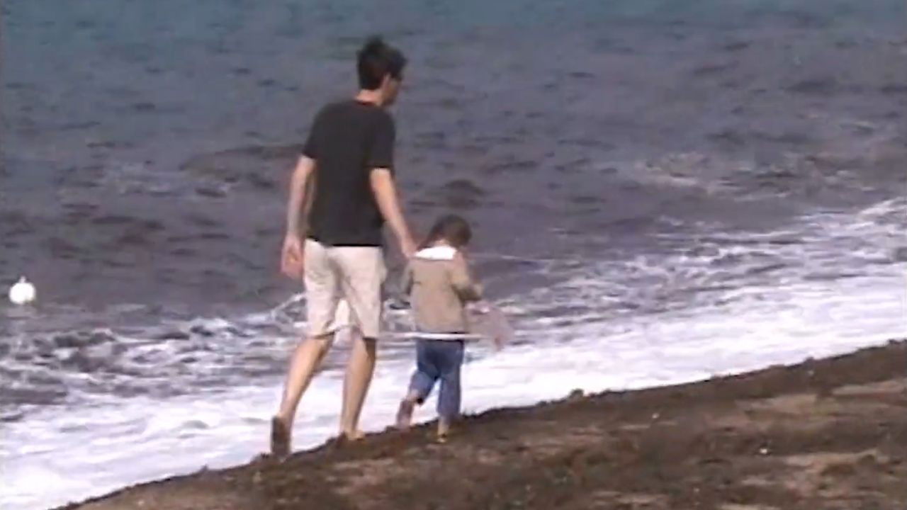 Backdrop image for movie Mémoire de mer