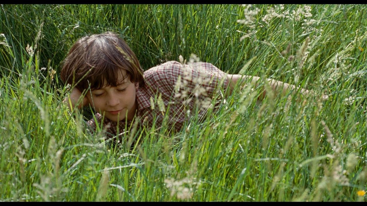 Backdrop image for movie The Field of Enchantment