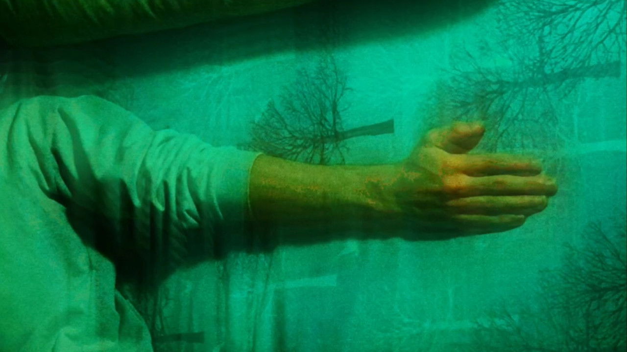 Backdrop image for movie Days, Months, Years and Nothing Else