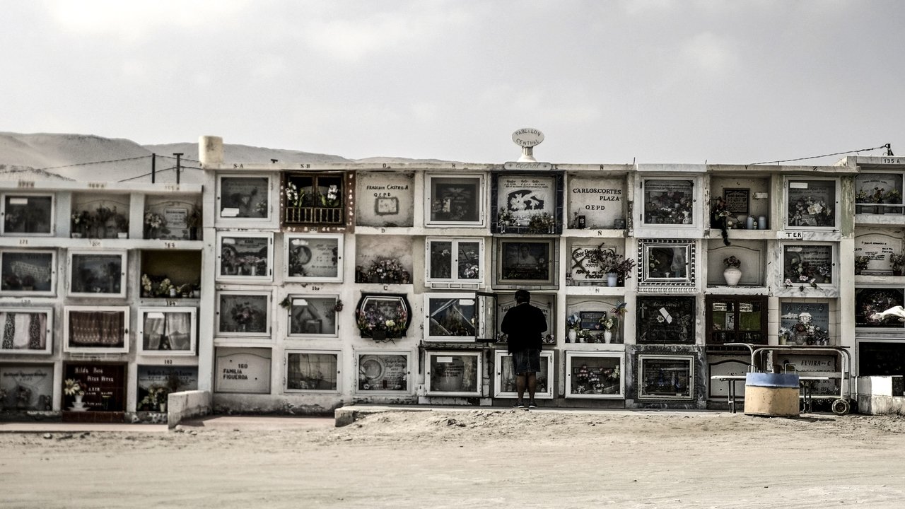 Backdrop image for movie Arica