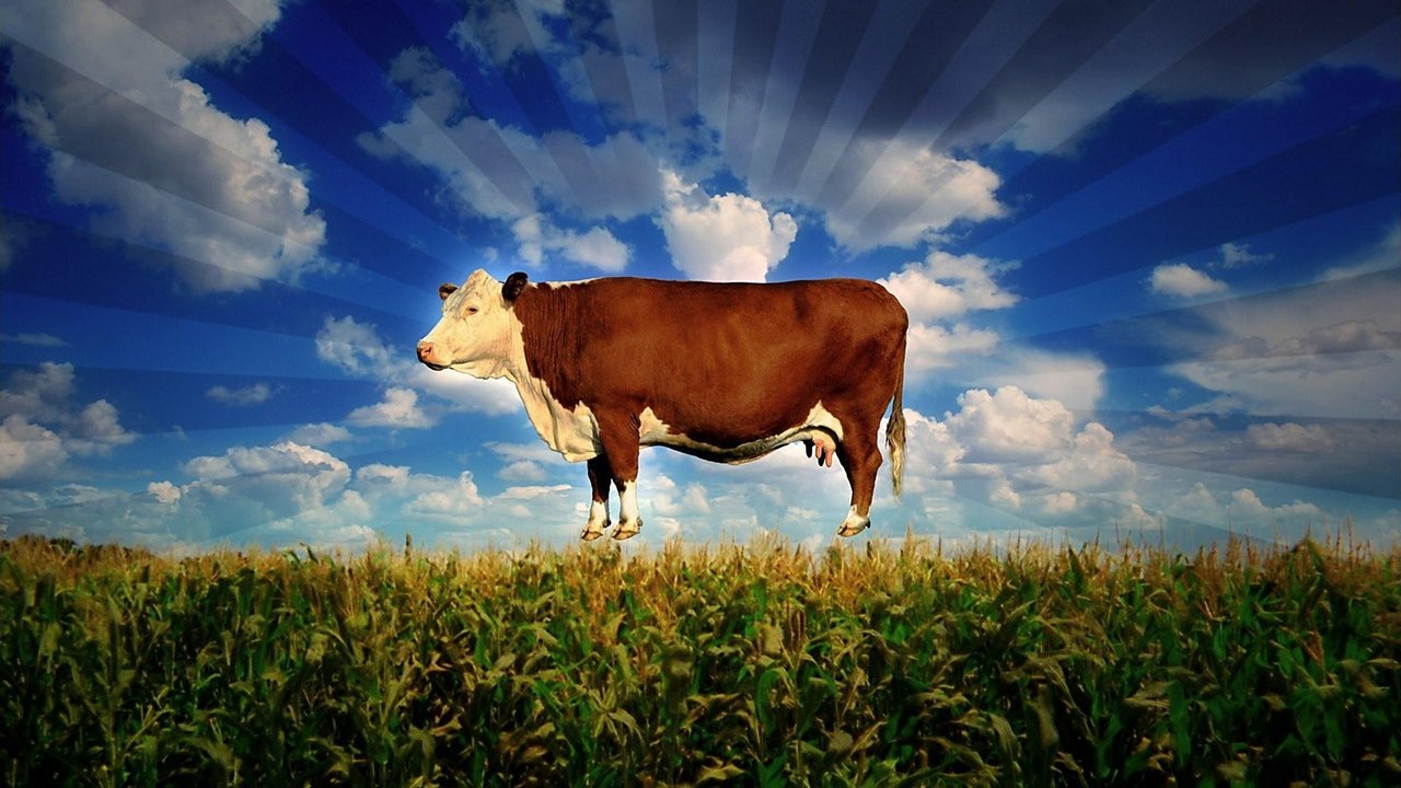 Backdrop image for movie Food, Inc.