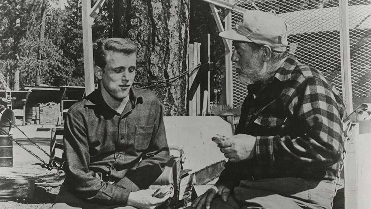 Backdrop image for movie Freckles