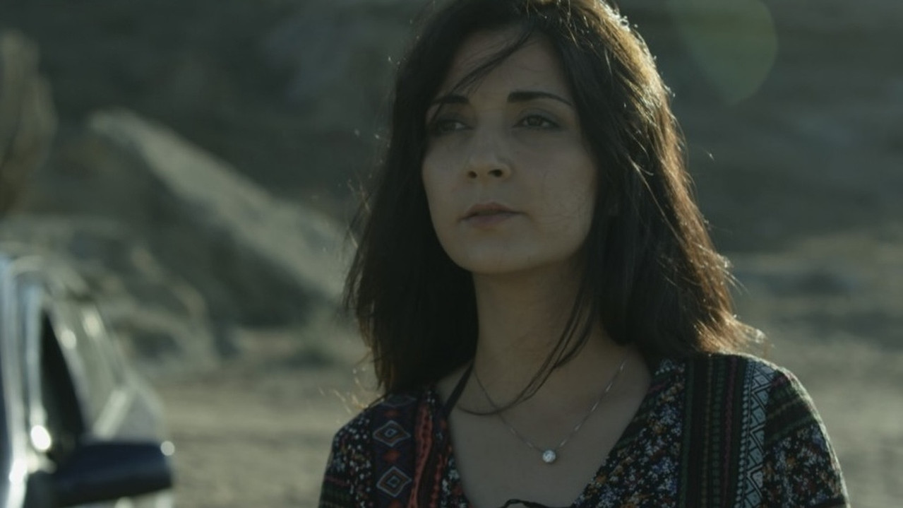 Backdrop image for movie The Dog that Drinks Seawater