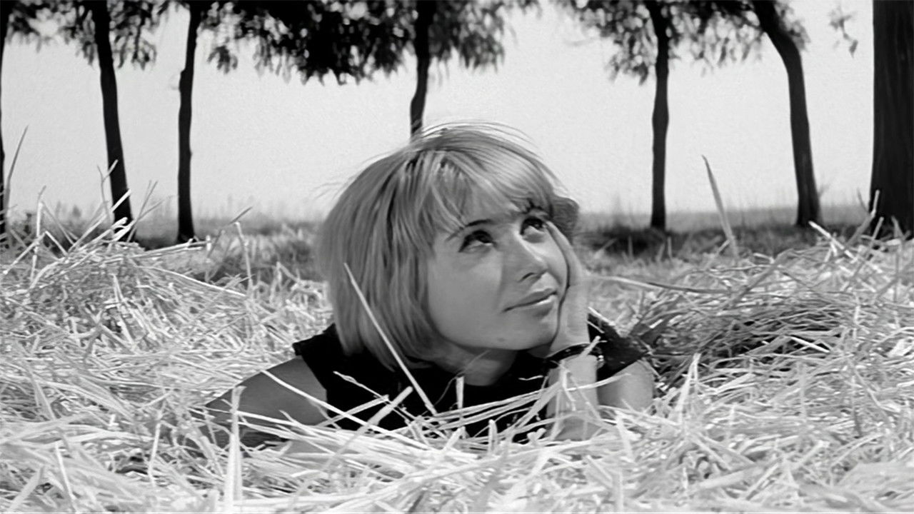 Backdrop image for movie Monday Morning