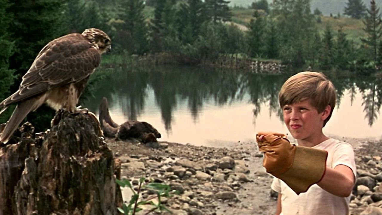 Backdrop image for movie My Side of the Mountain