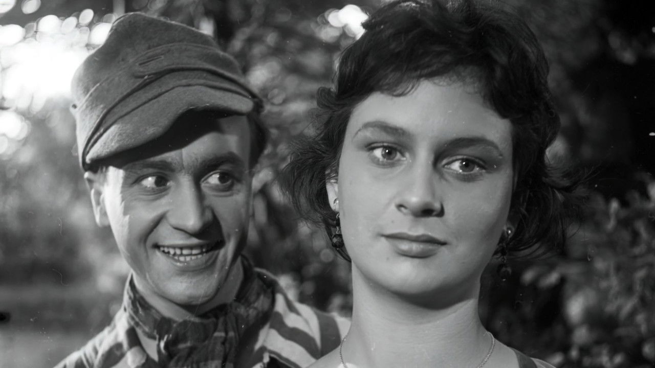 Backdrop image for movie The Hours of Hope