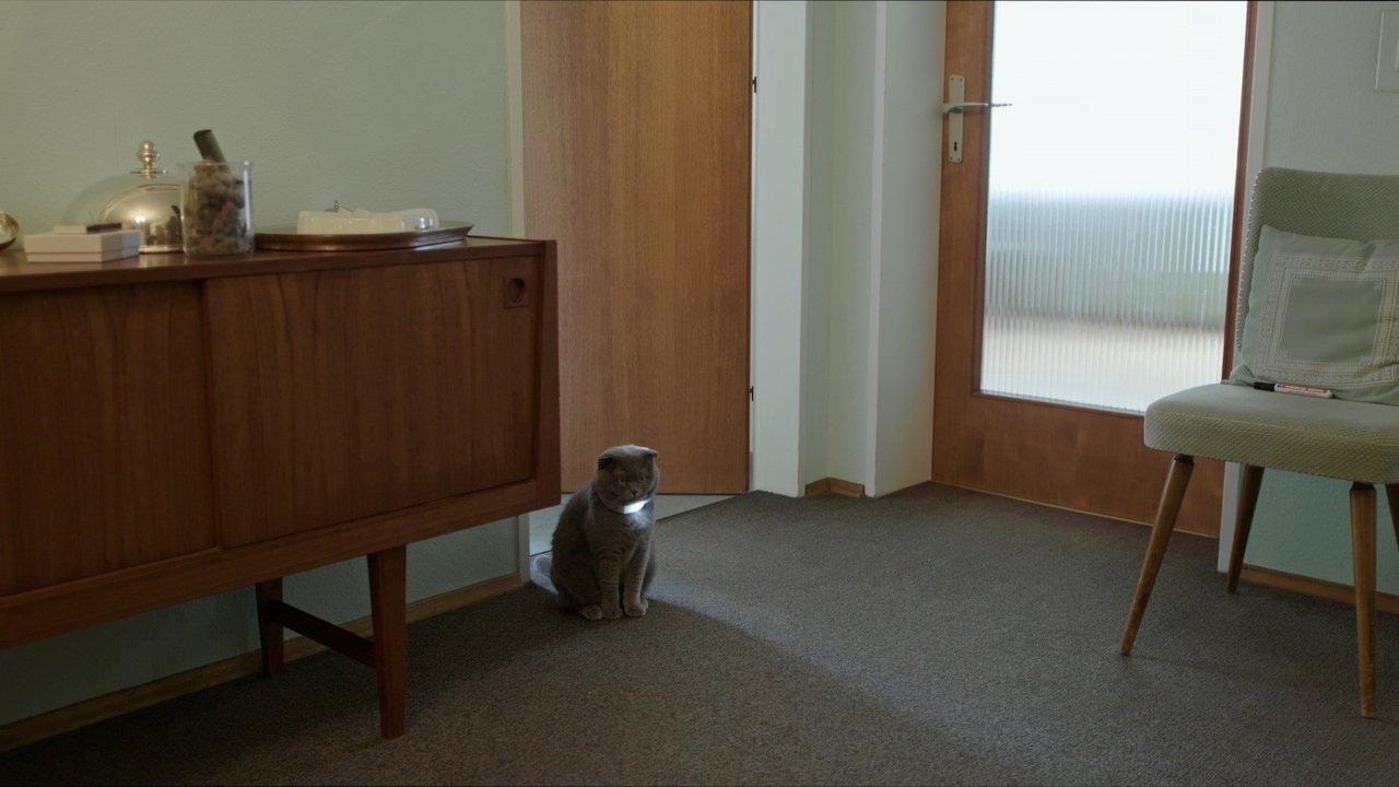 Backdrop image for movie All Cats Are Grey in the Dark